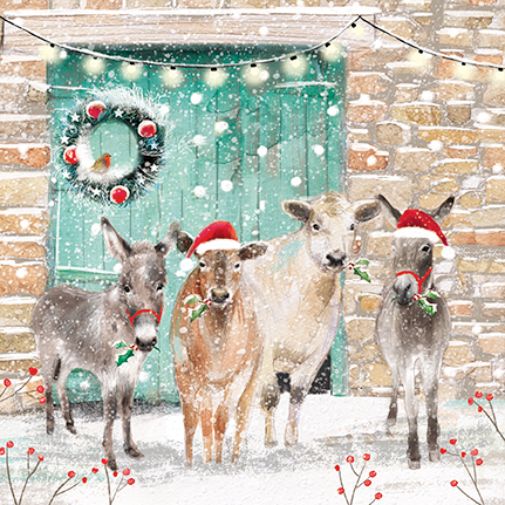 Box of 18 Paper House Festive Cows & Farmyard Animals Christmas Cards