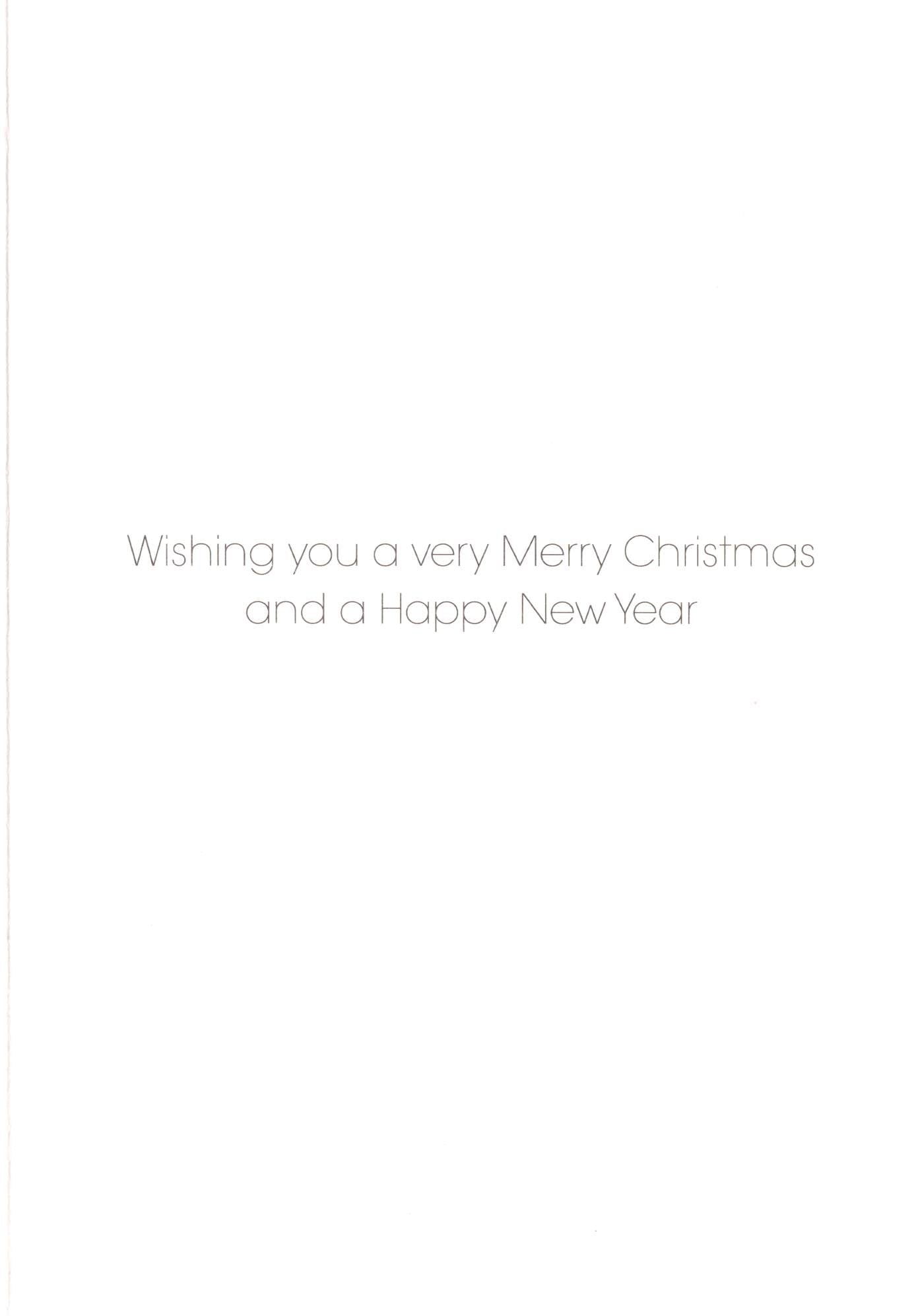 RSPB Box of 20 Birds & Wildlife Assorted Charity Christmas Cards