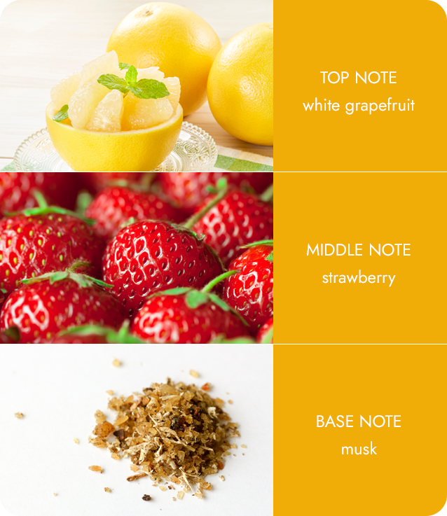 Citrus Grapefruit Diffuser Squeeze The Day! Reed Diffuser Gift Idea