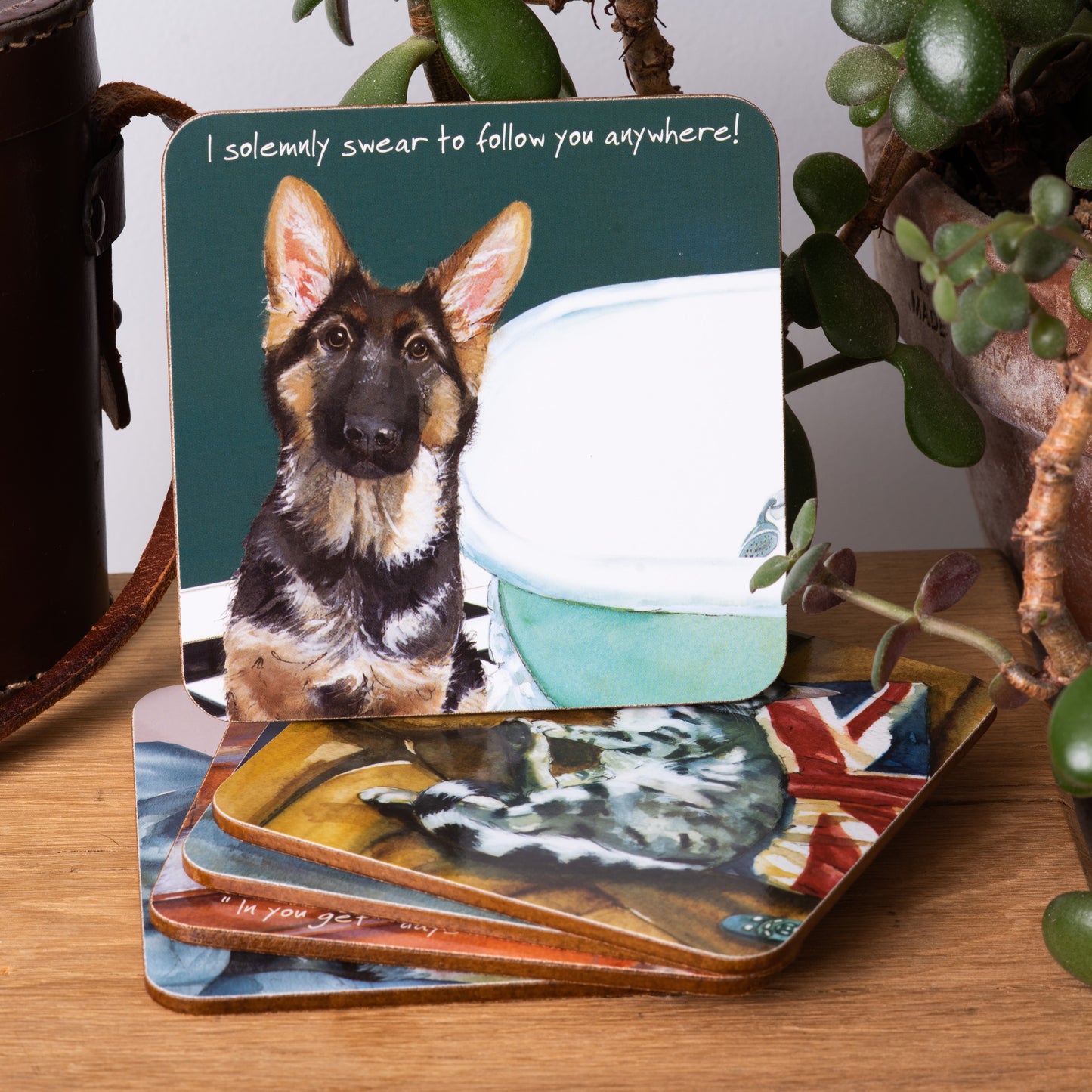 I Swear To Follow You Anywhere! German Shepherd Little Dog Laughed Coaster