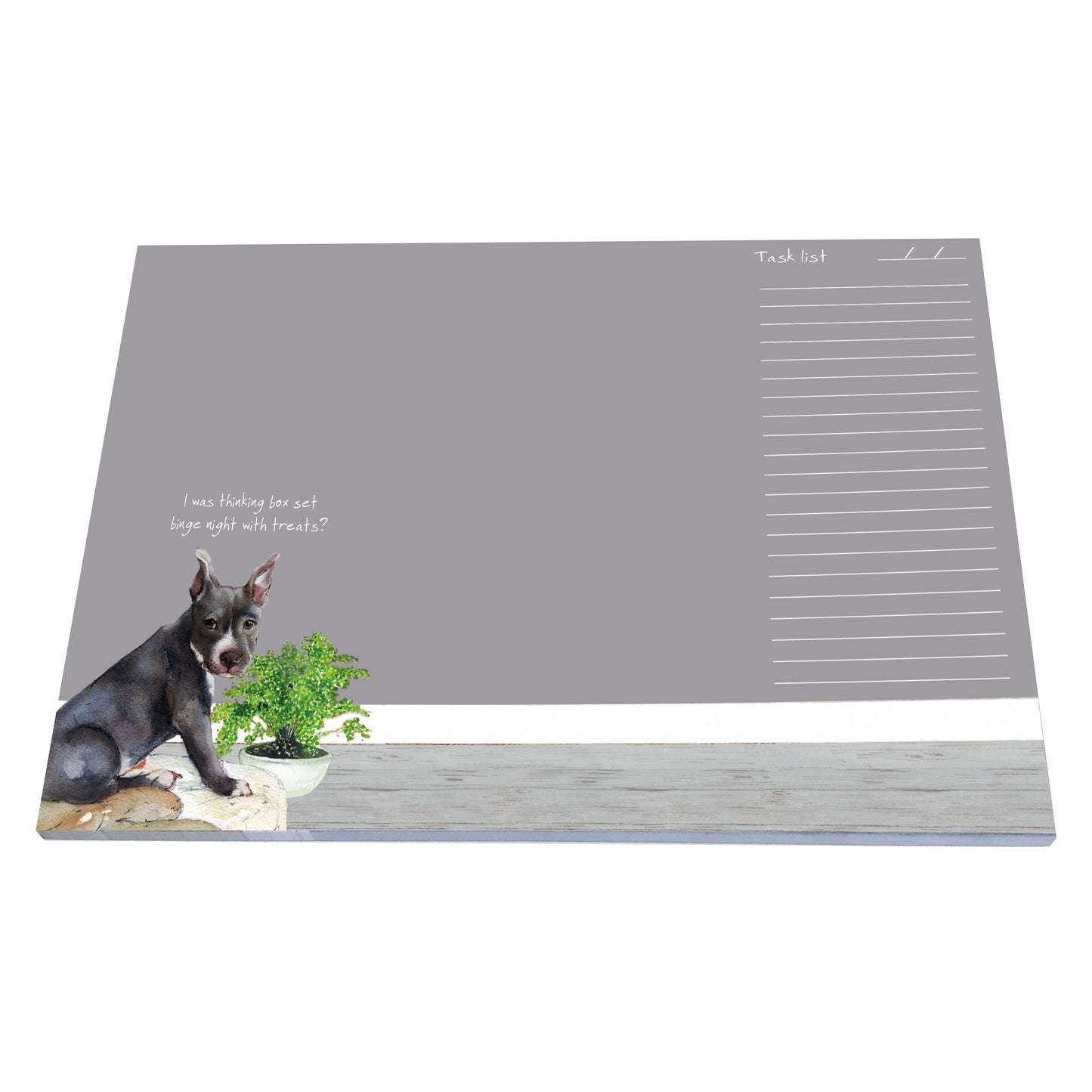 Desk Jotter Box Set Binge Night With Treats? Little Dog Laughed