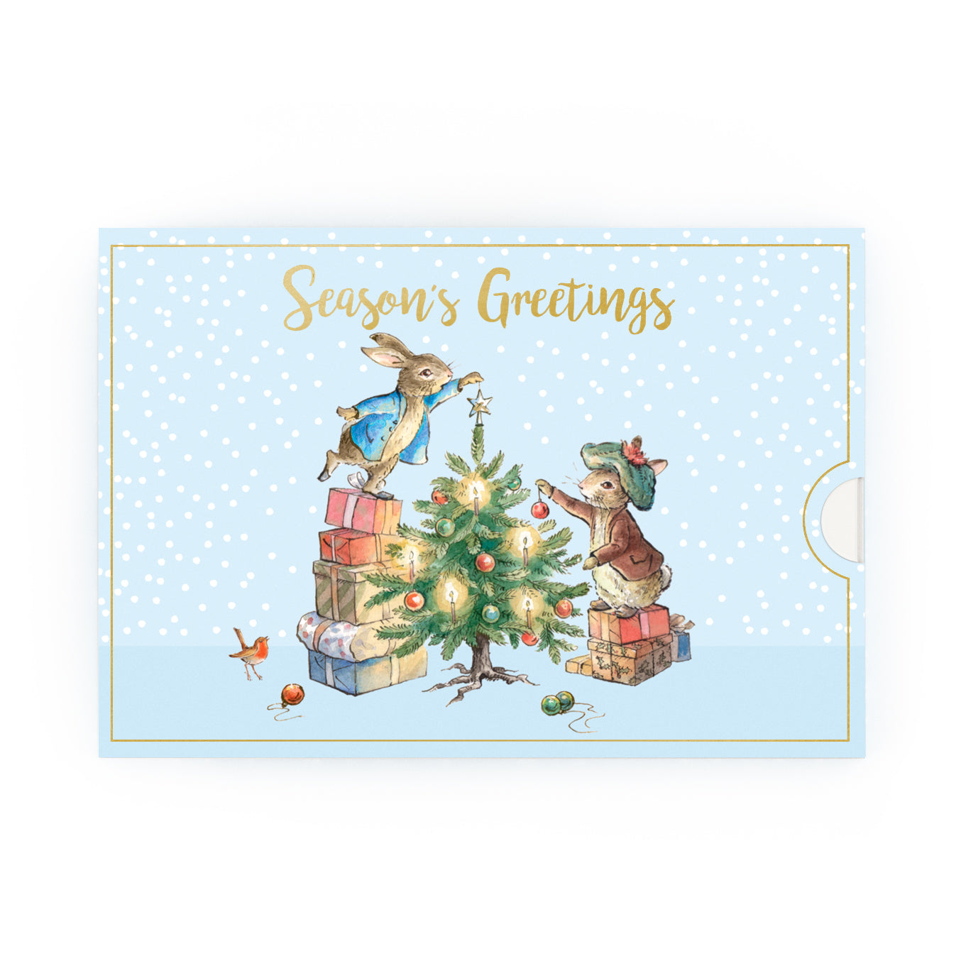 Peter Rabbit Music Box Christmas Card Novelty Dancing Musical Cards