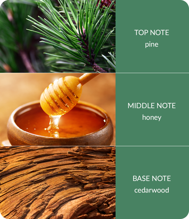 Heart & Home Christmas Tree Fragrance Reed Diffuser 70ml