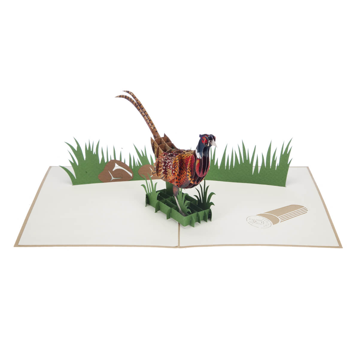Pheasant Pop-Up Any Occasion Greeting Card Blank Inside