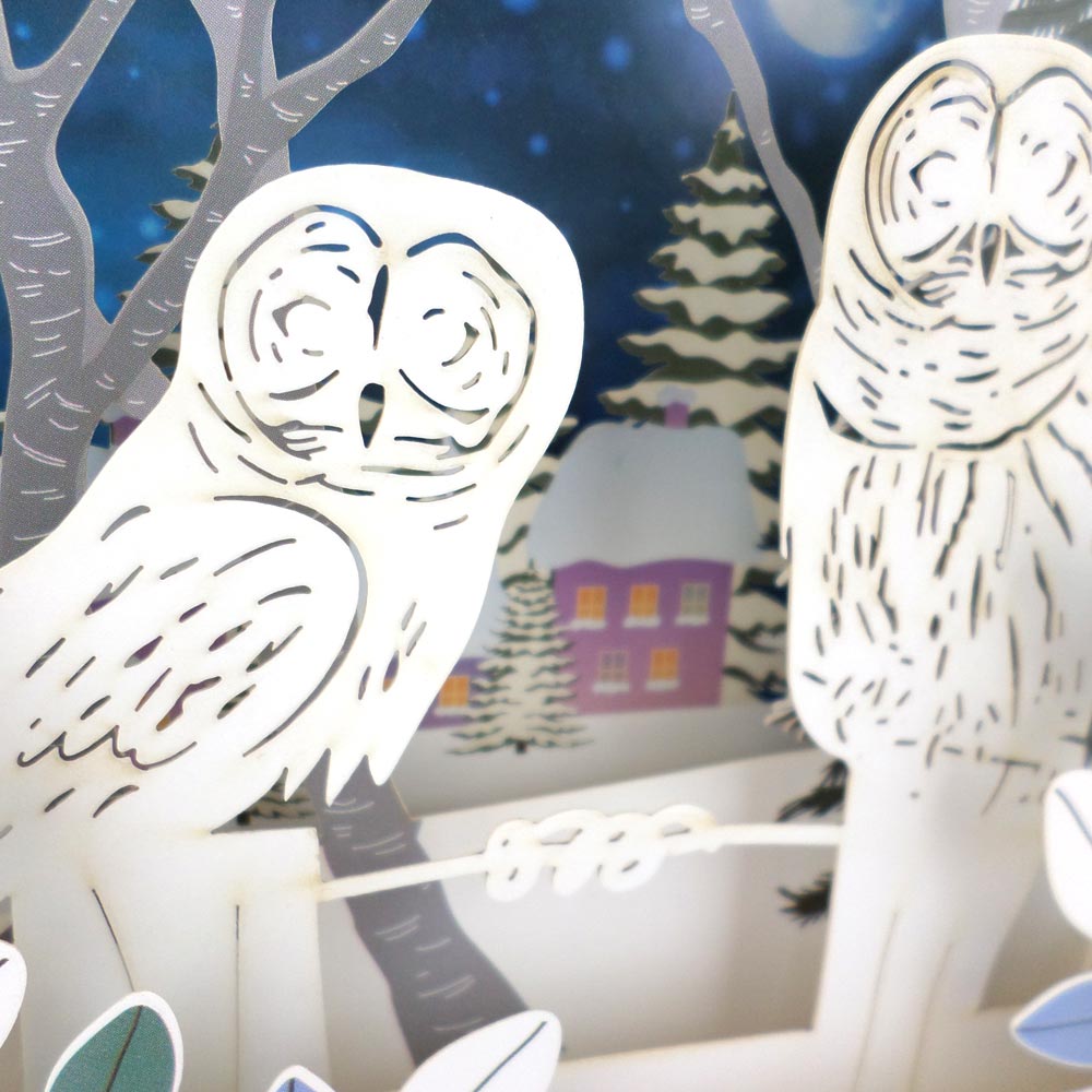 Snowy Barn Owls Surveying 3D Pop Up Christmas Greeting Card