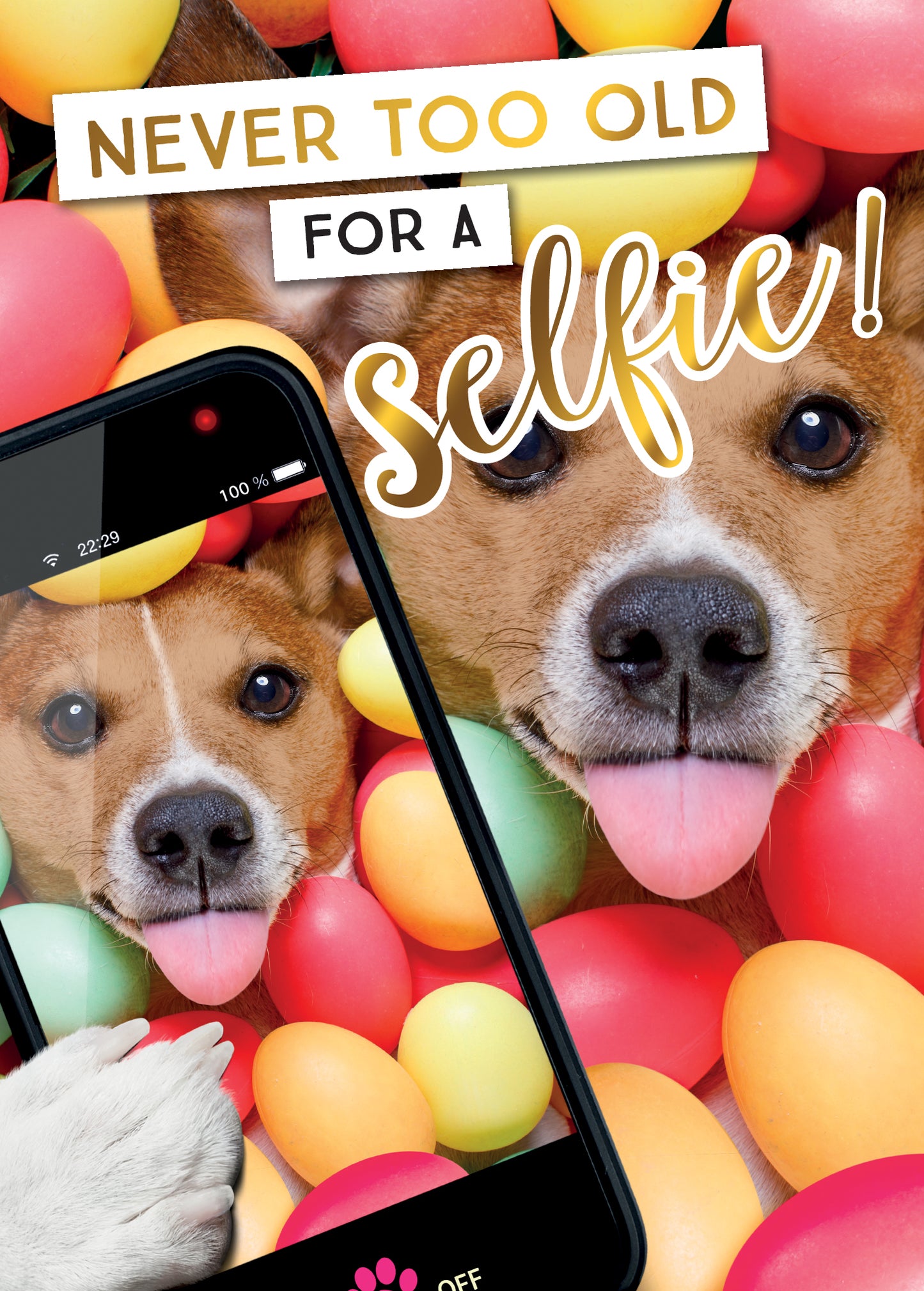 Never Too Old For Selfie Birthday Greeting Card