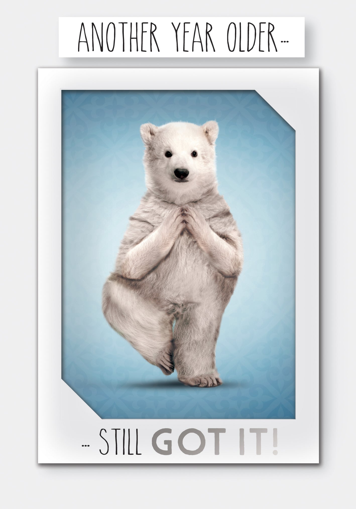 Another Year Older Birthday Greeting Card