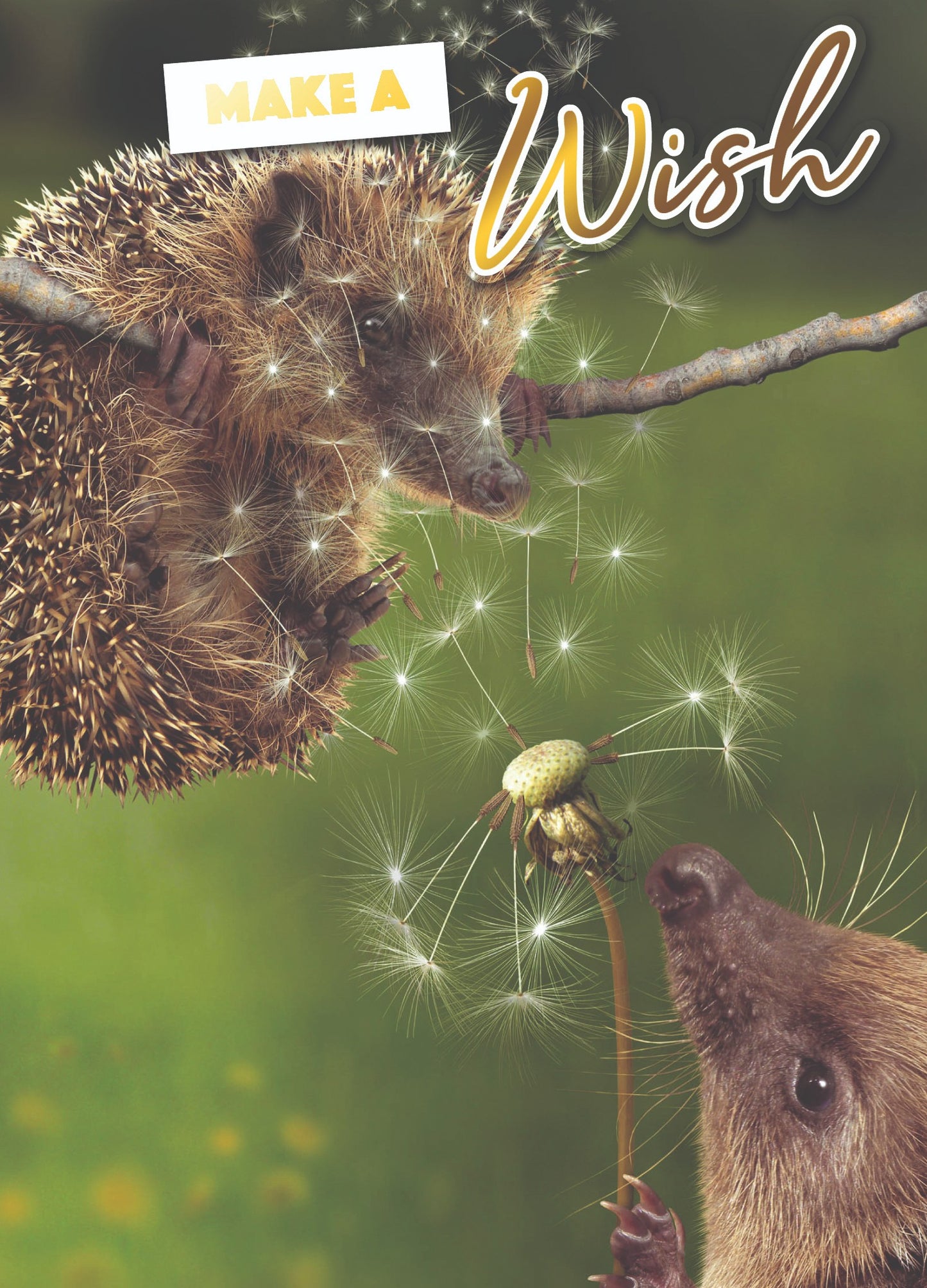 Make A Wish Photo Birthday Greeting Card