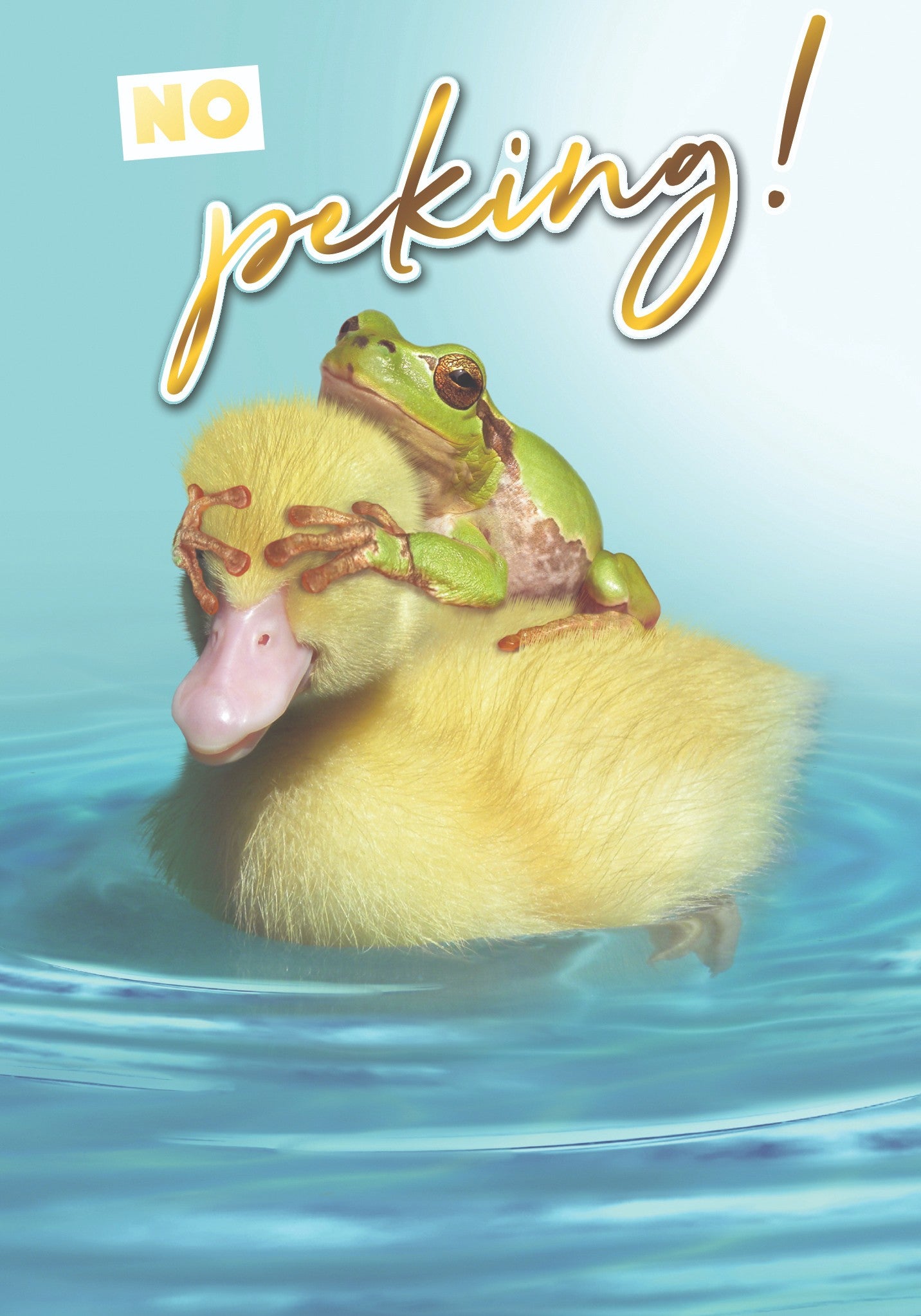 No Peking Photo Birthday Greeting Card