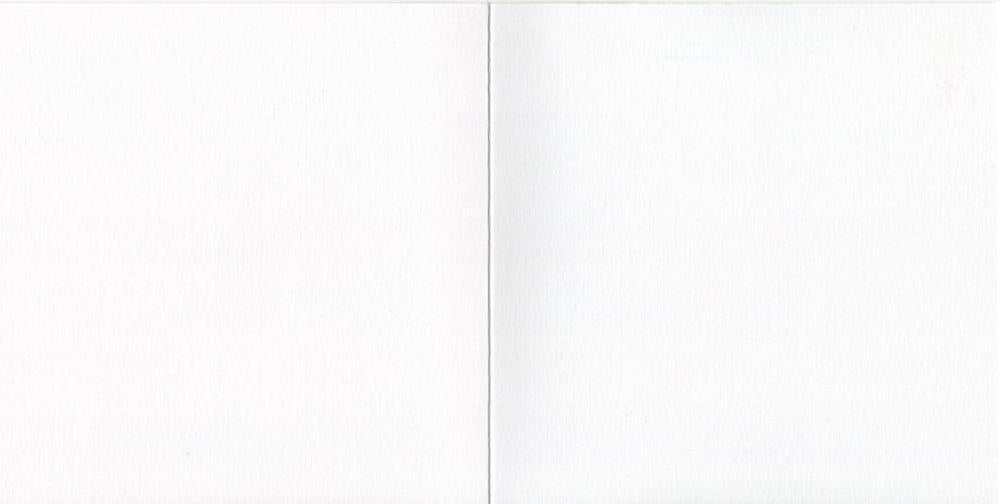 British Birds Seagull Sound Greeting Card