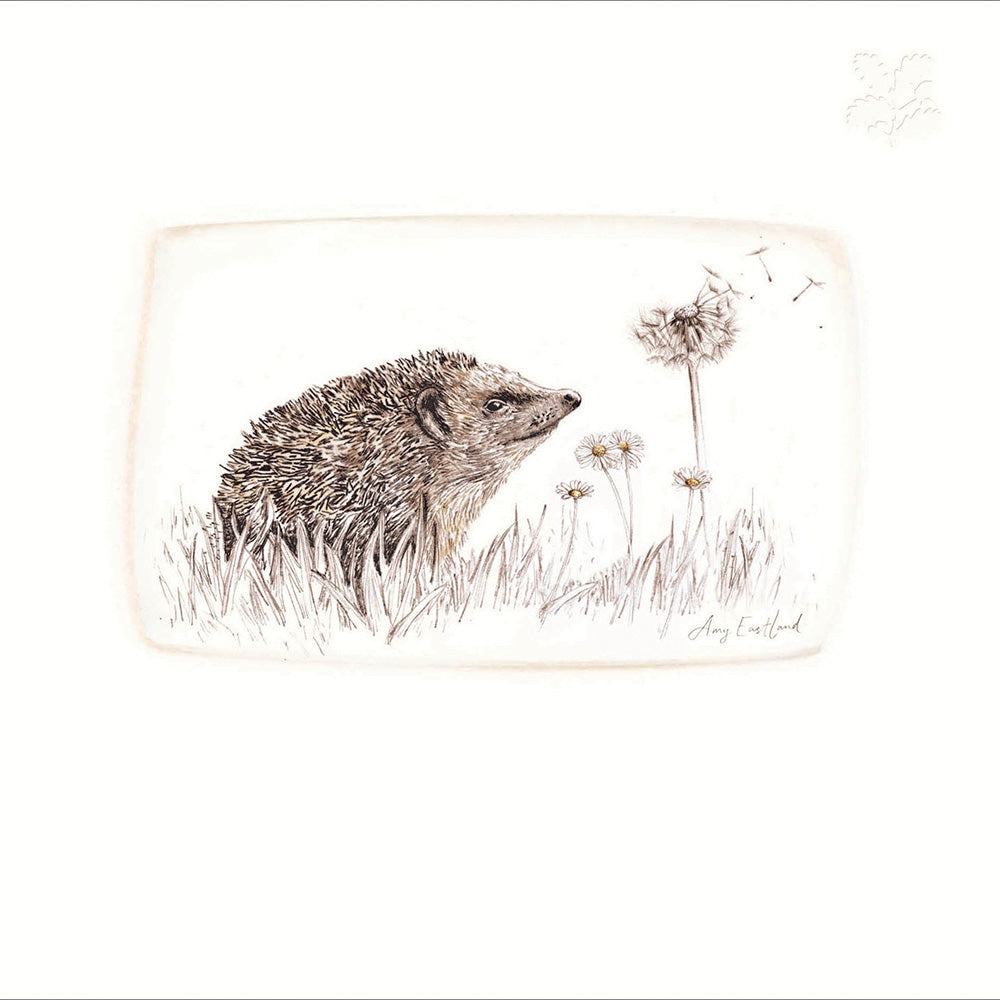 National Trust Hedgehog Embossed Artistic Greeting Card