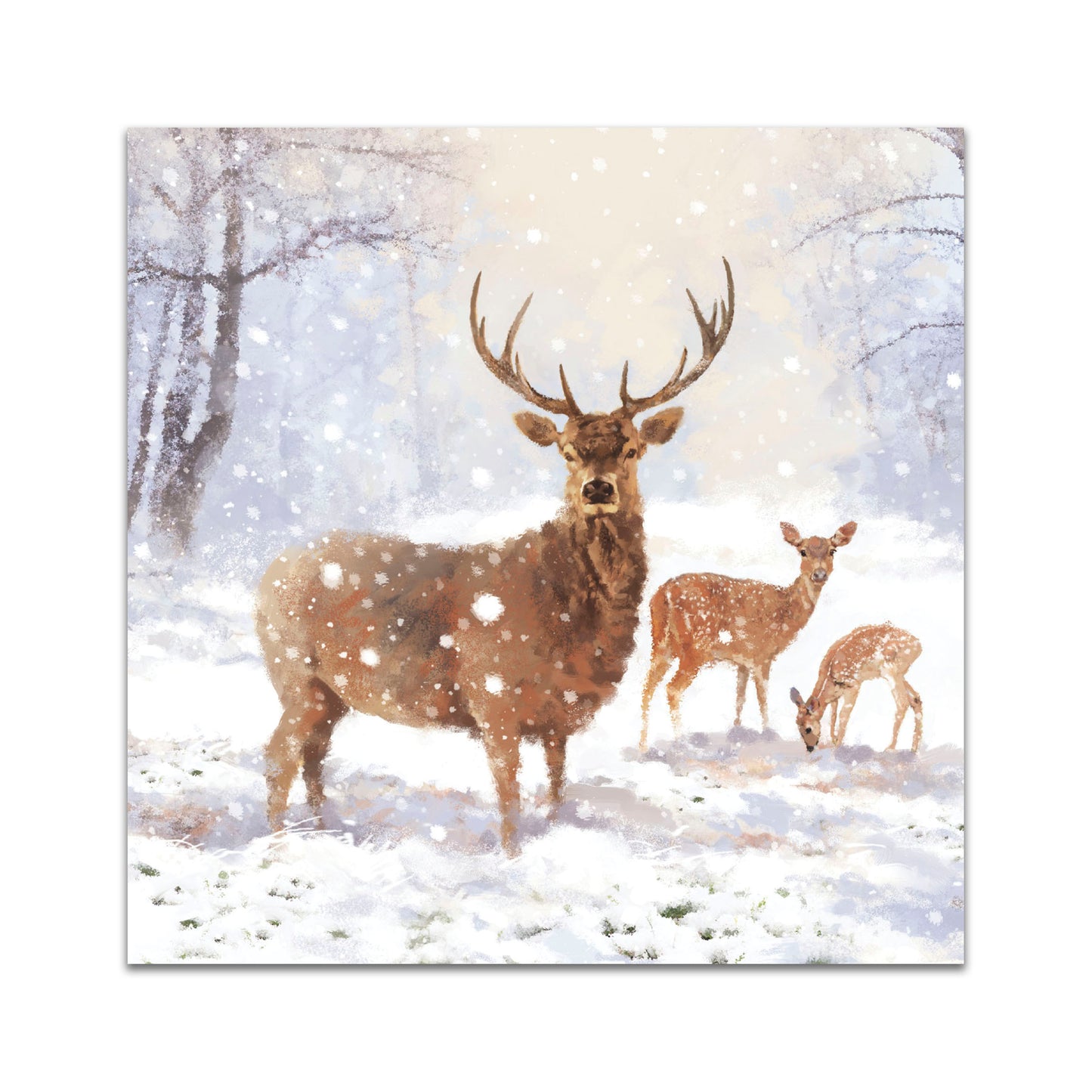 Pack of 8 Majestic Snowy Stag In Aid Of Mind Charity Christmas Cards