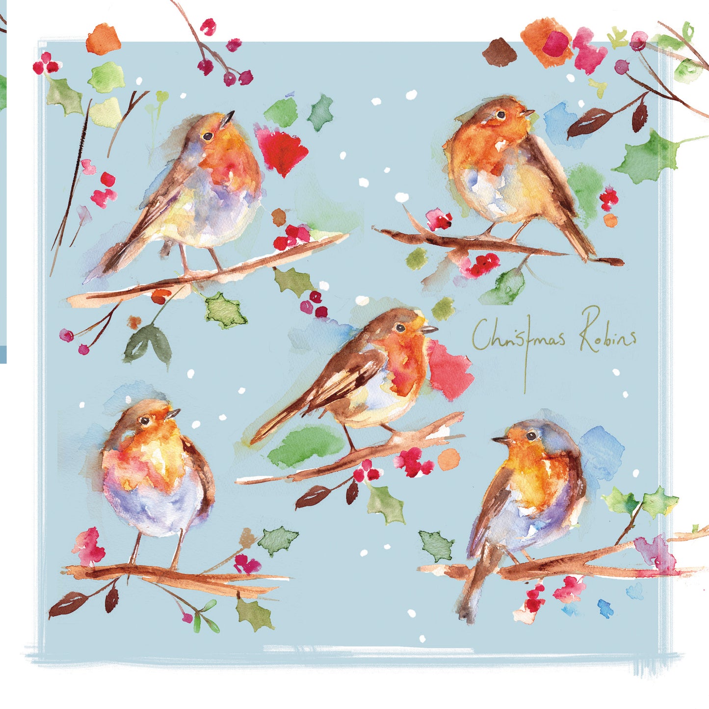 Box of 16 Christmas Robin Red Breasts Christmas Cards In 2 Designs