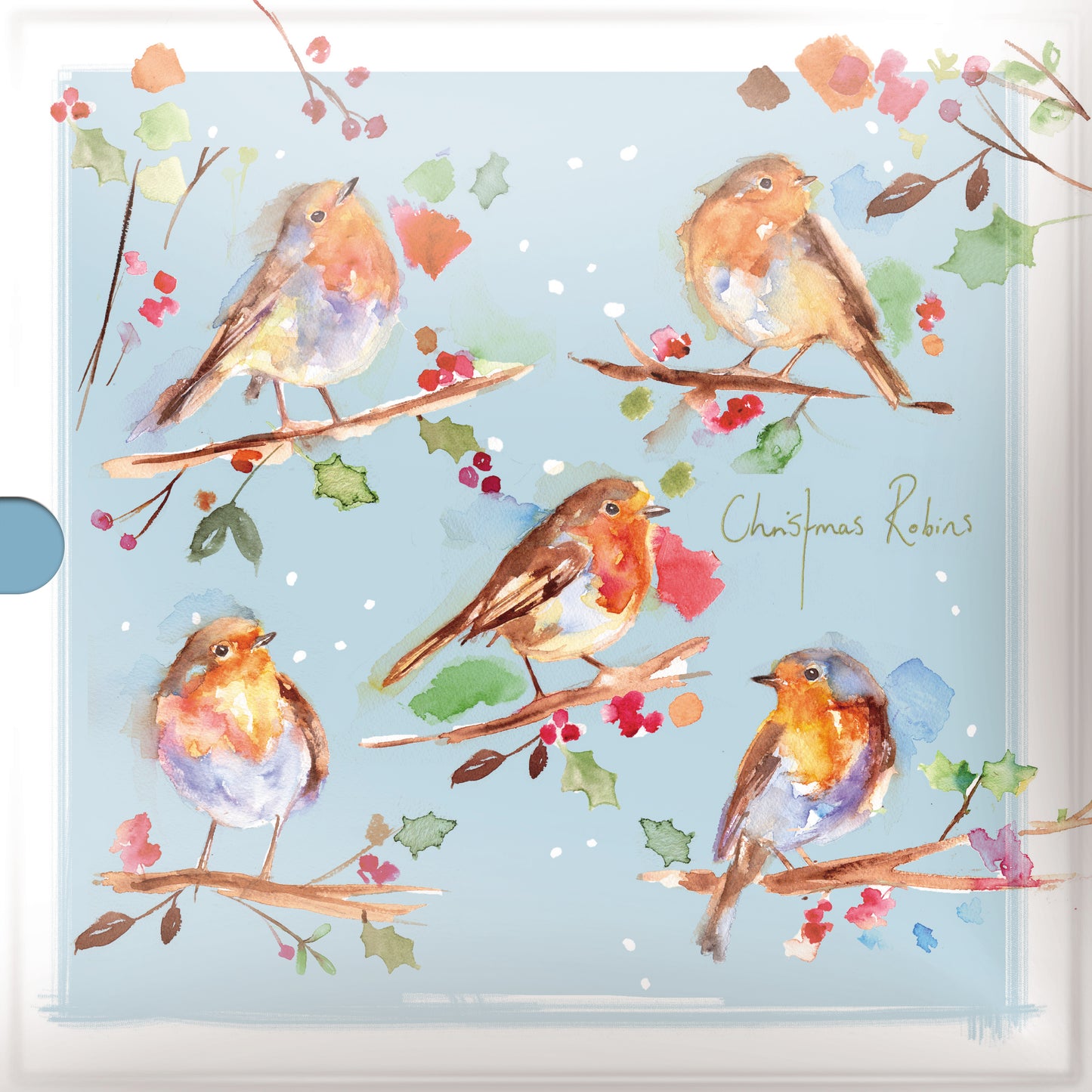 Box of 16 Christmas Robin Red Breasts Christmas Cards In 2 Designs