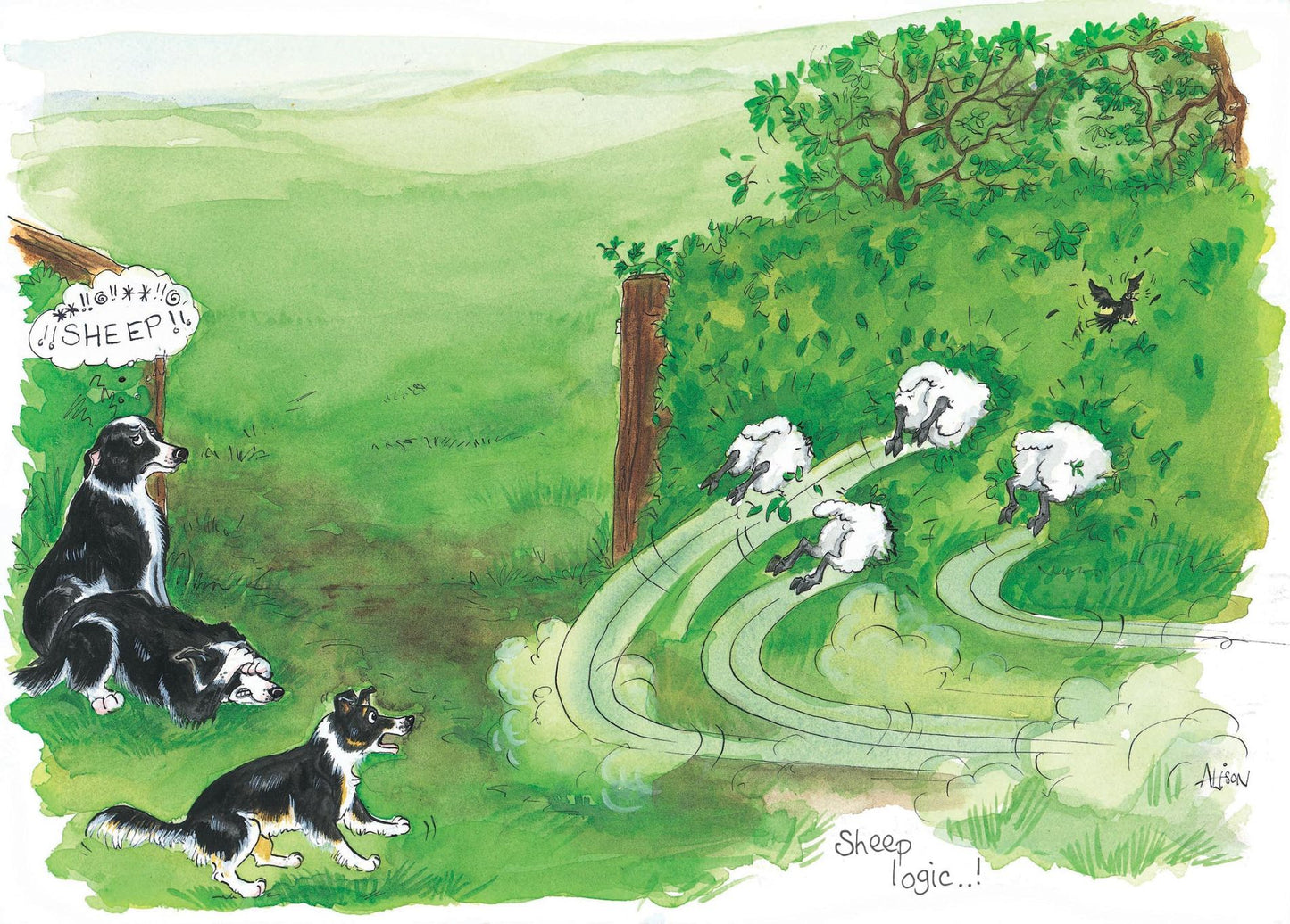 Sheep Logic! Dogs & Sheep Alison's Animals Cartoon Greeting Card