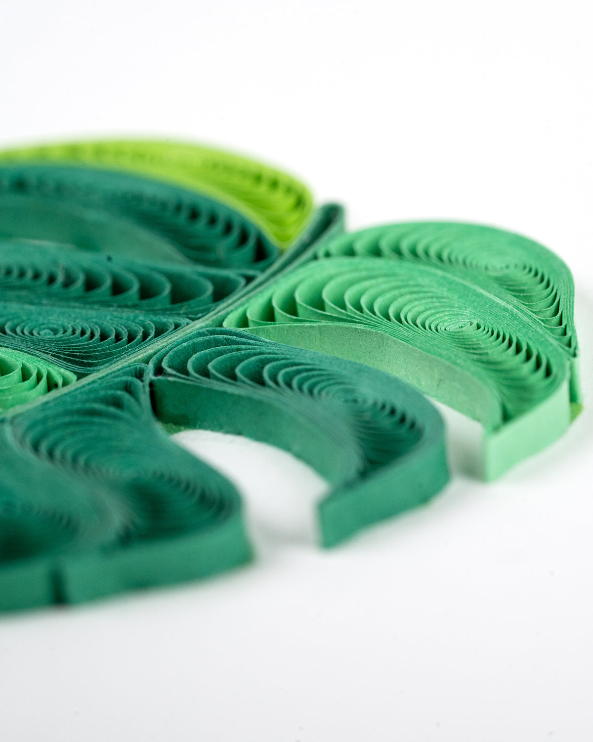 Quilling Green Monstera Pot Plant  Lover Hand-Finished Art Greeting Card