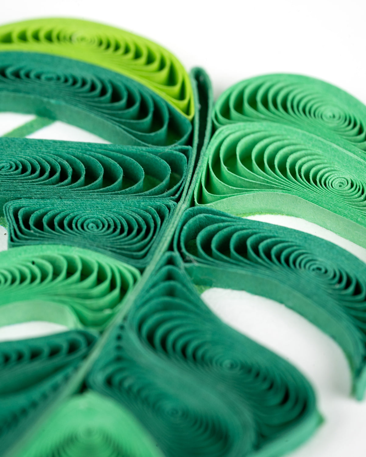 Quilling Green Monstera Pot Plant  Lover Hand-Finished Art Greeting Card