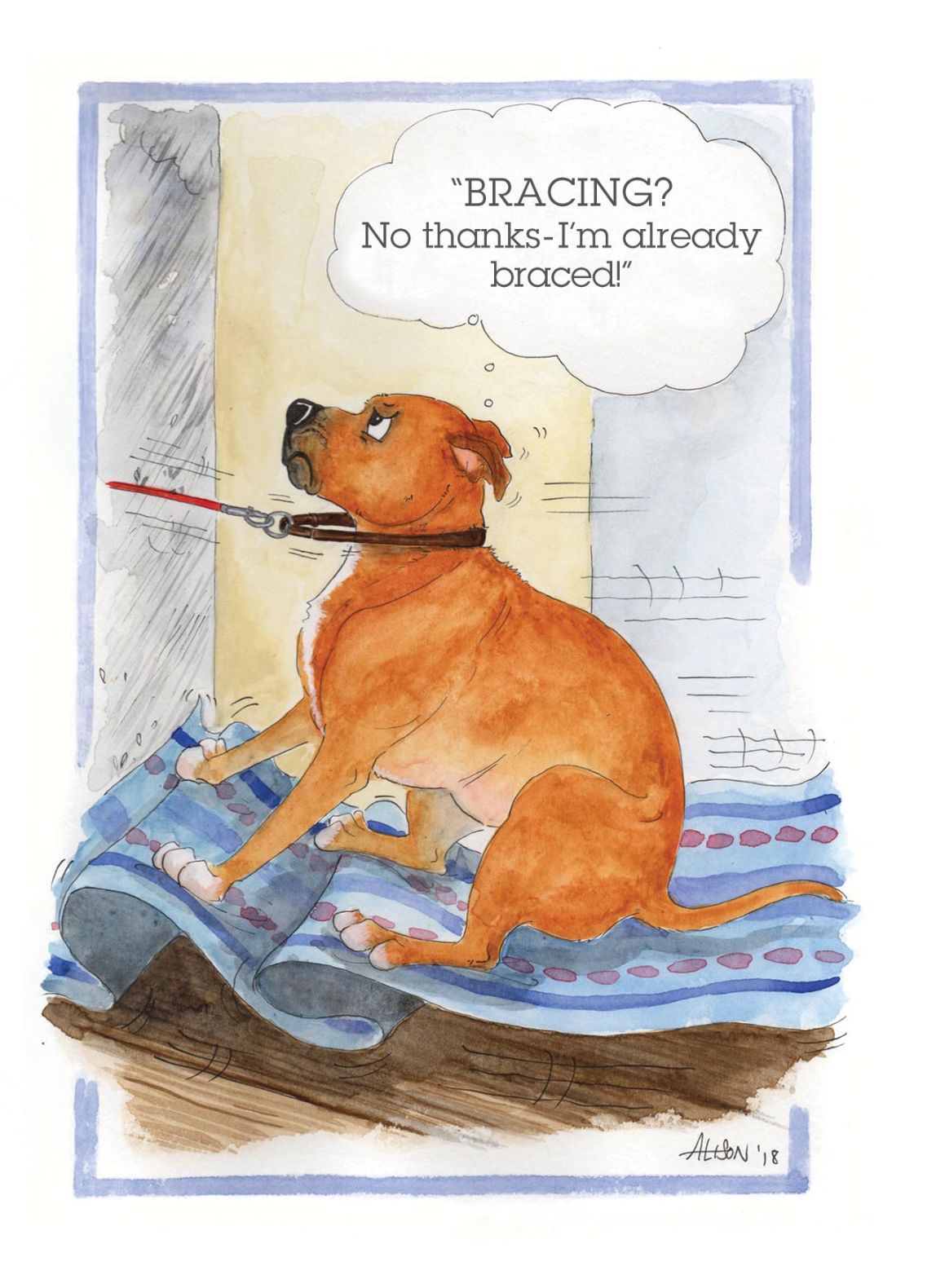 A Bracing Dog Walk No Thanks! Alison's Animals Cartoon Greeting Card