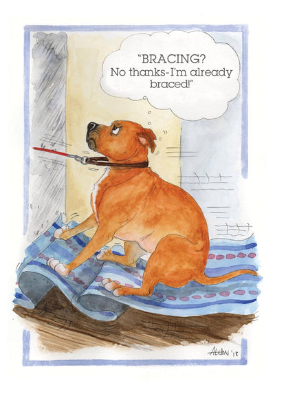 A Bracing Dog Walk No Thanks! Alison's Animals Cartoon Greeting Card
