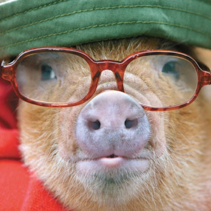 Pig In Glasses Happy Father's Day Greeting Card