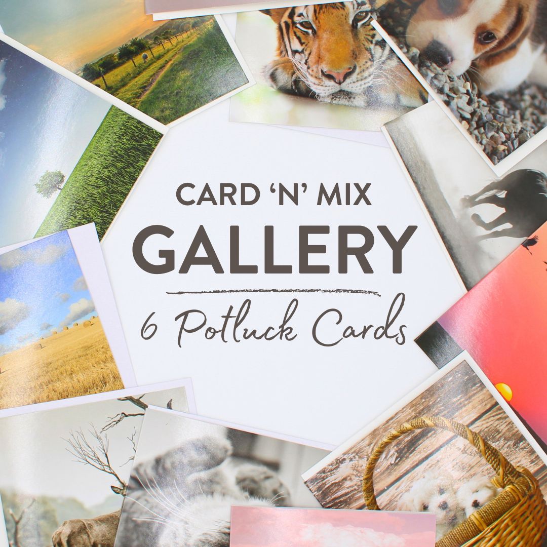 CARD 'N' MIX Gallery Assortment 6 Card Potluck Pick Cards for Every Occasion