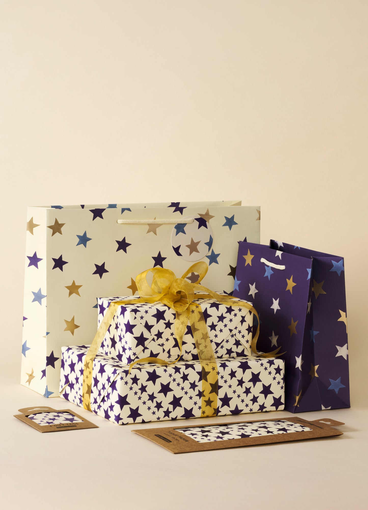 Emma Bridgewater Blue Stars Medium Gift Bag Gift Wrapping Accessory