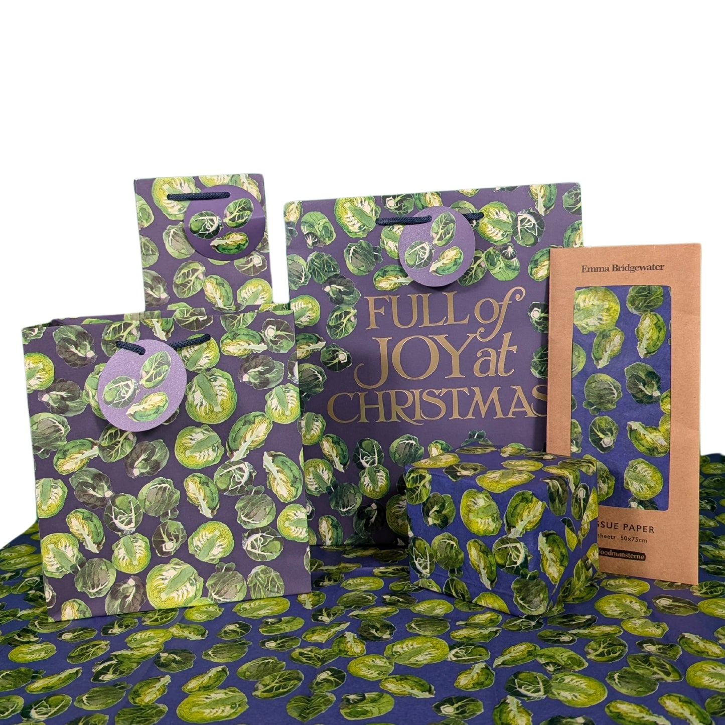 Emma Bridgewater Brussels Sprouts Medium Gift Bag Christmas Gift Accessory