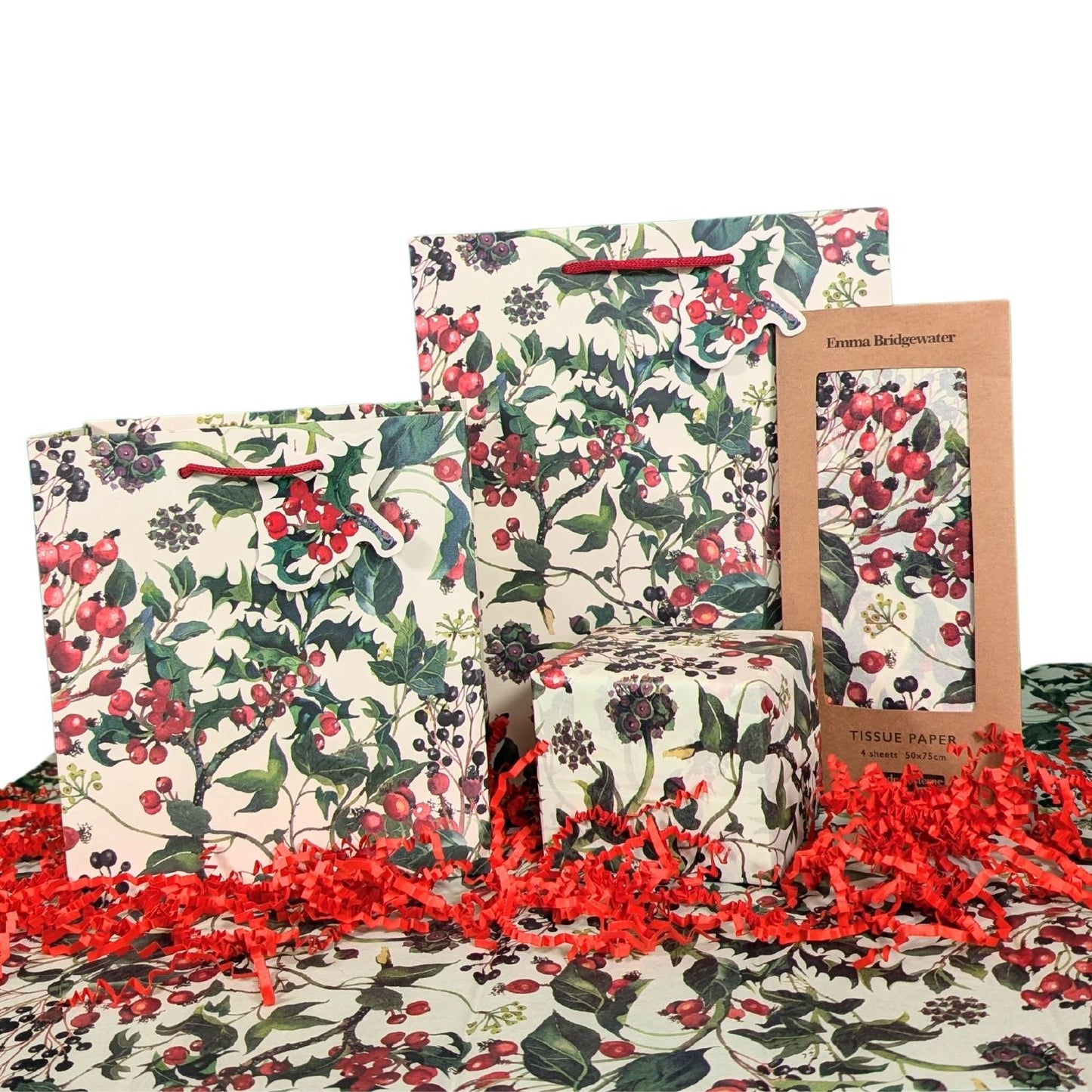 Emma Bridgewater Winter Flowers Medium Gift Bag Christmas Gift Accessory