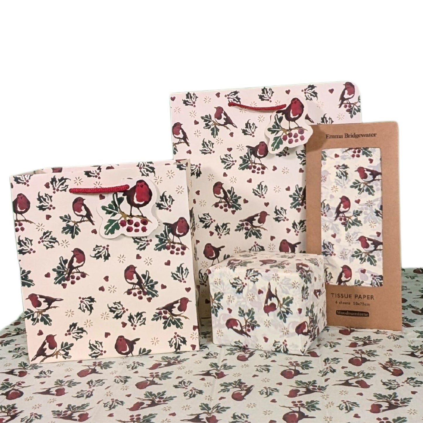 Emma Bridgewater Little Robin Medium Gift Bag Christmas Gift Accessory