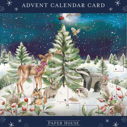 Traditional Picture Advent Calendar Woodland Animals Christmas Countdown Gift