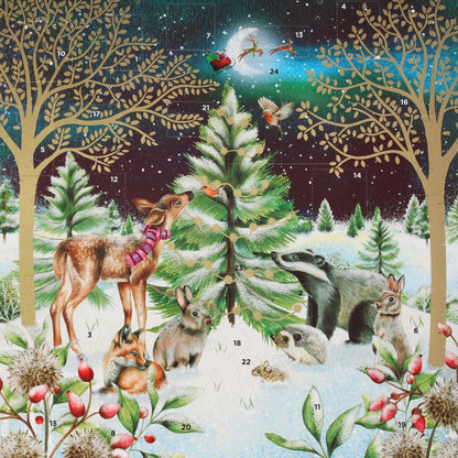Traditional Picture Advent Calendar Woodland Animals Christmas Countdown Gift