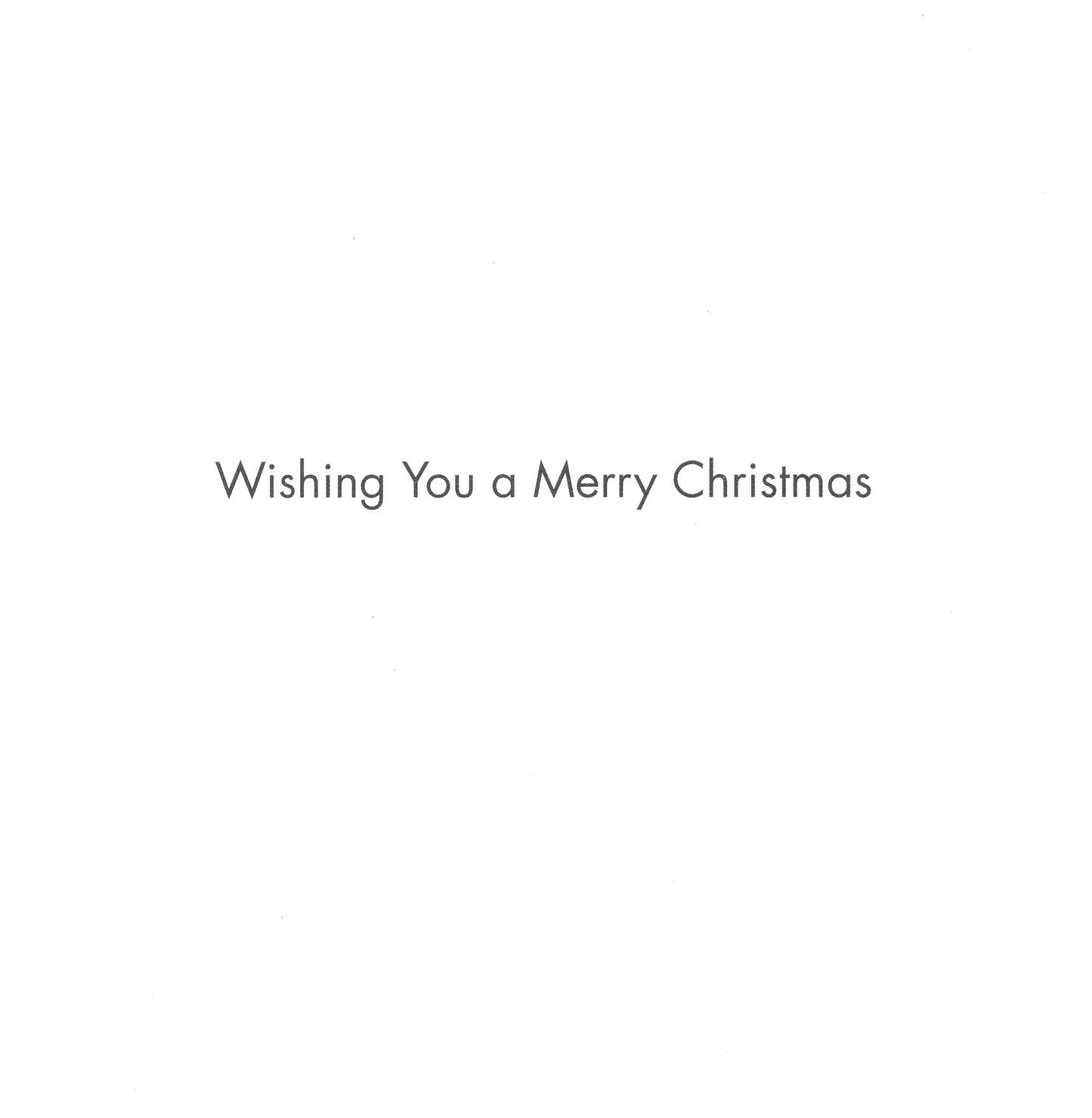 Box of 16 Santa In The Starry Sky Christmas Cards In 2 Designs