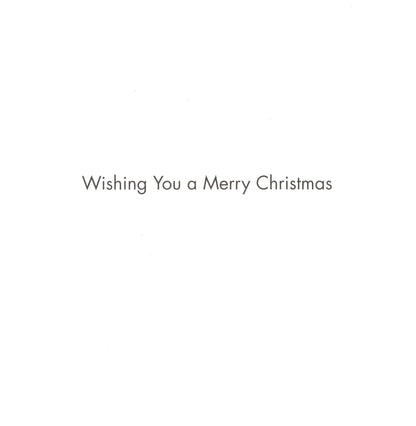 Box of 16 Santa In The Starry Sky Christmas Cards In 2 Designs