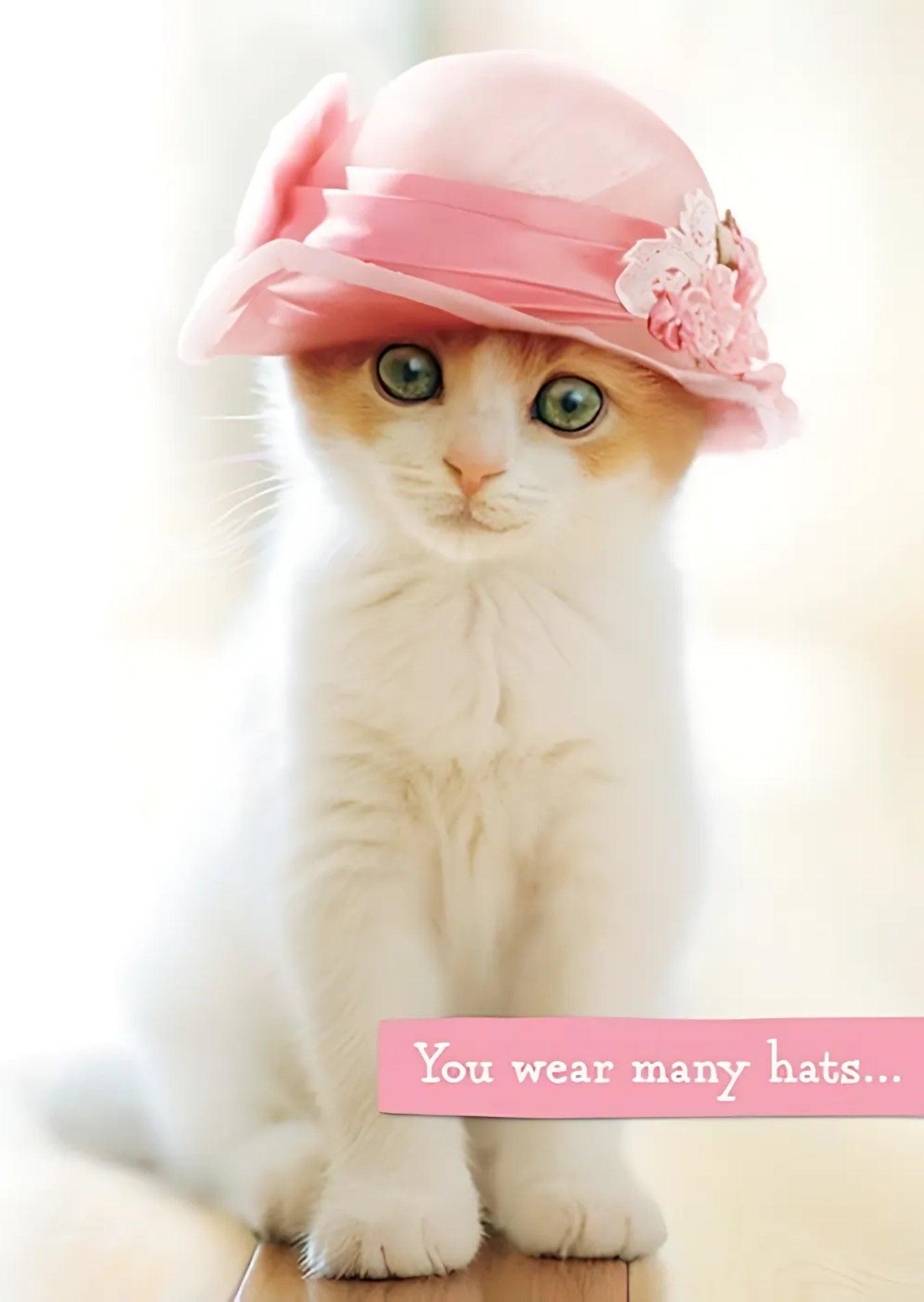 Avanti Mother's Day Cute Kitten Greeting Card