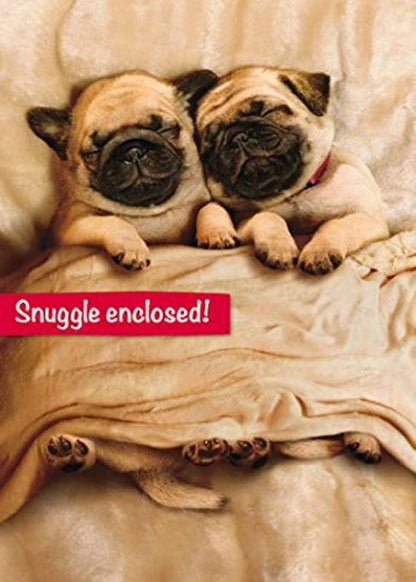 Avanti Husband Cute Pug Valentine's Day Card