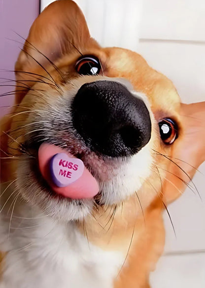 Avanti Valentine's Day Corgi Dog I Ruv You Greeting Card