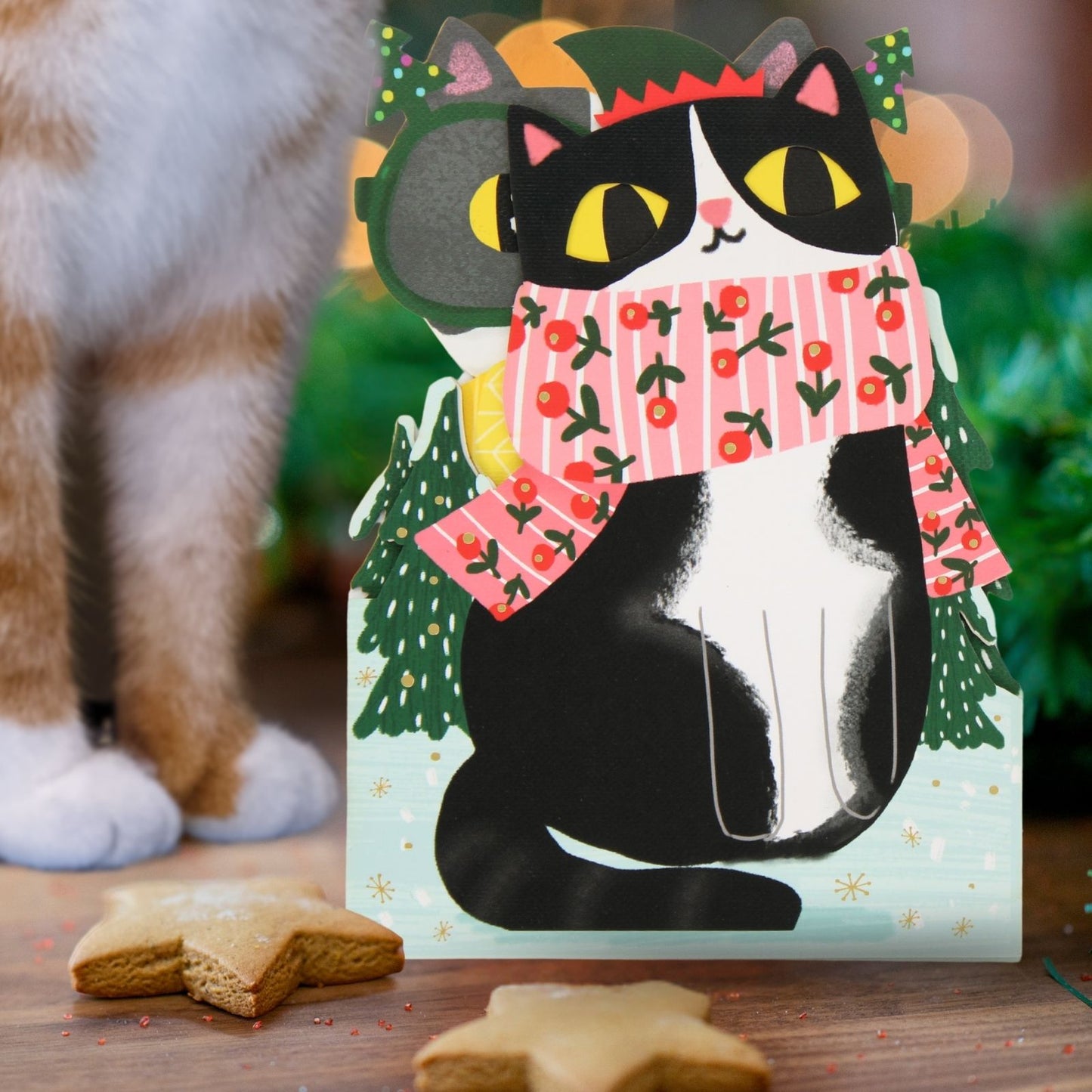 Cute Christmas Card Cat In A Scarf Fun Jiggly Eyes Xmas Greeting Cards For Kids