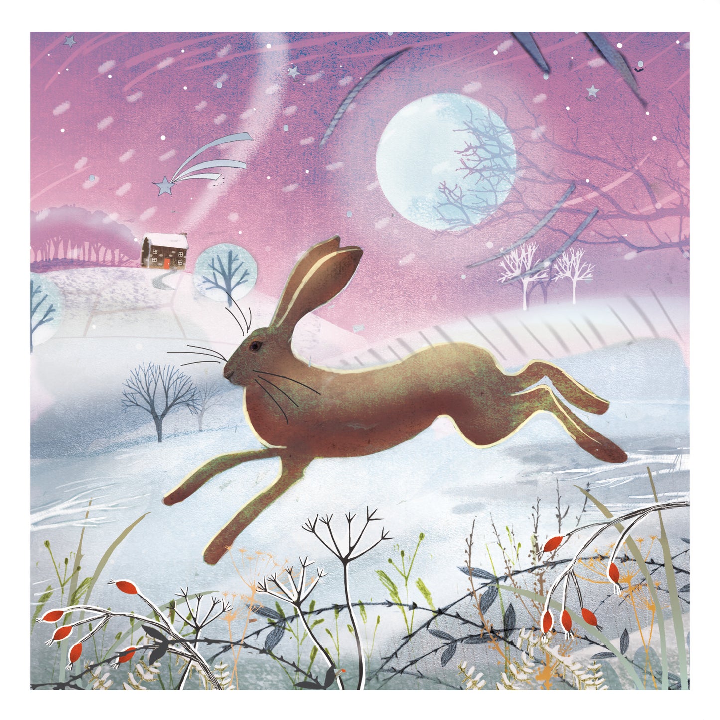 Box of 20 Moonlight Winter Hares Fairdeal Charity Christmas Cards
