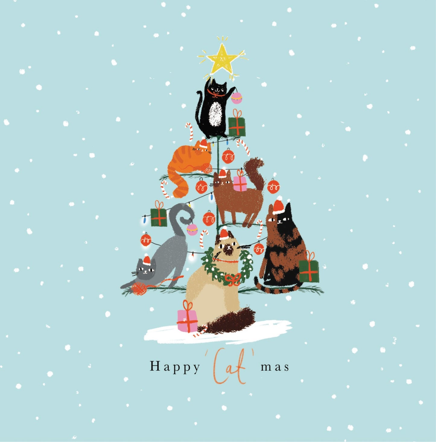 Box of 20 Cats Catmas & Dog Woofmas Fairdeal Charity Christmas Cards