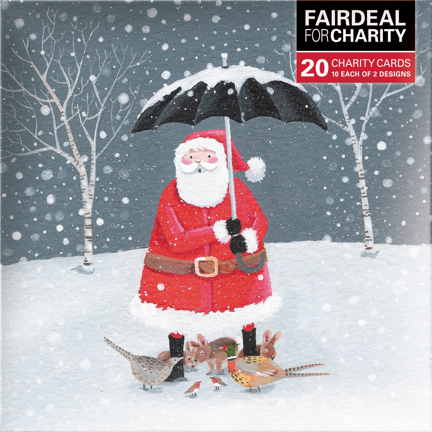 Box of 20 Santa's Brolly & Friends Fairdeal Charity Christmas Cards