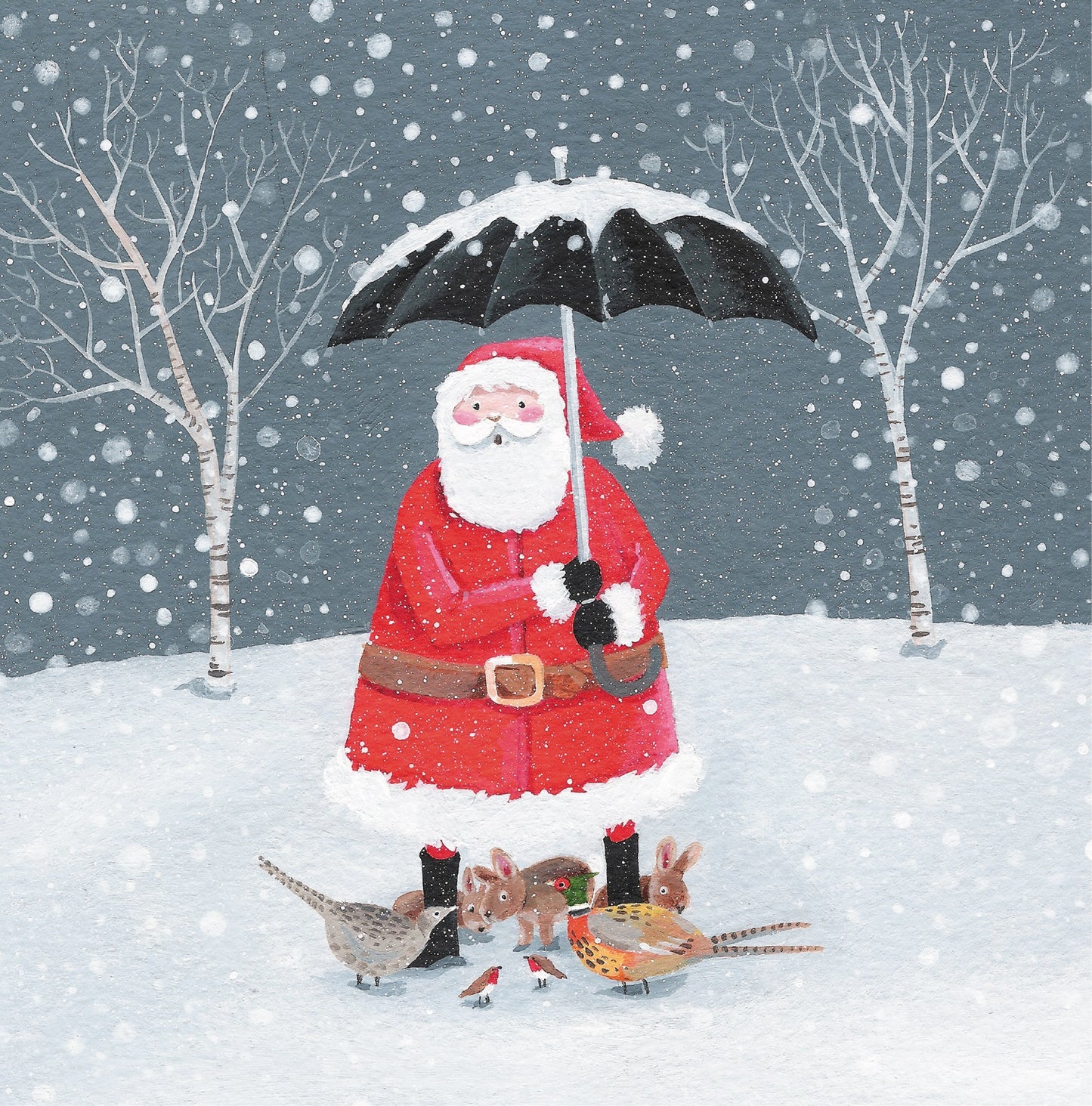 Box of 20 Santa's Brolly & Friends Fairdeal Charity Christmas Cards