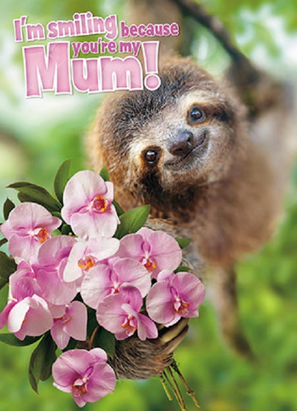 Avanti Smiling Because You're My Mum Happy Mother's Day Card