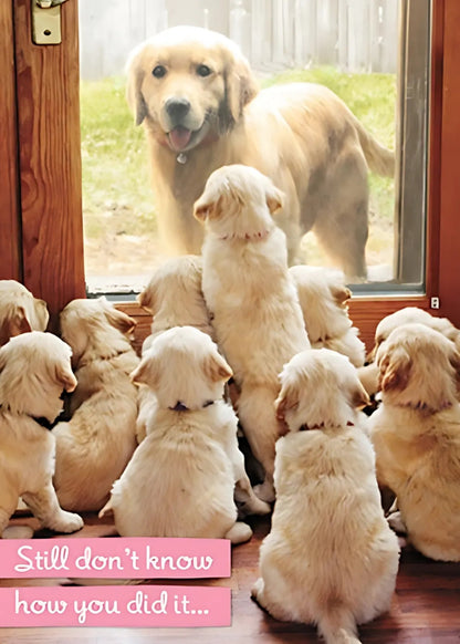 Avanti Don't Know How You Did It Mother's Day Photo Greeting Card