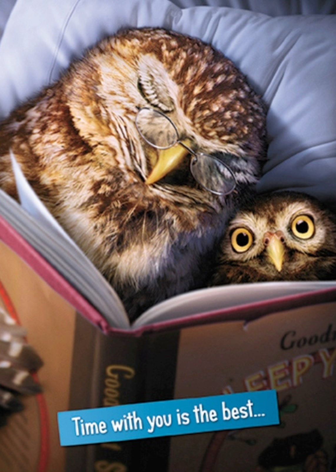 Avanti Owls Thanks Dad Cute Father's Day Greeting Card