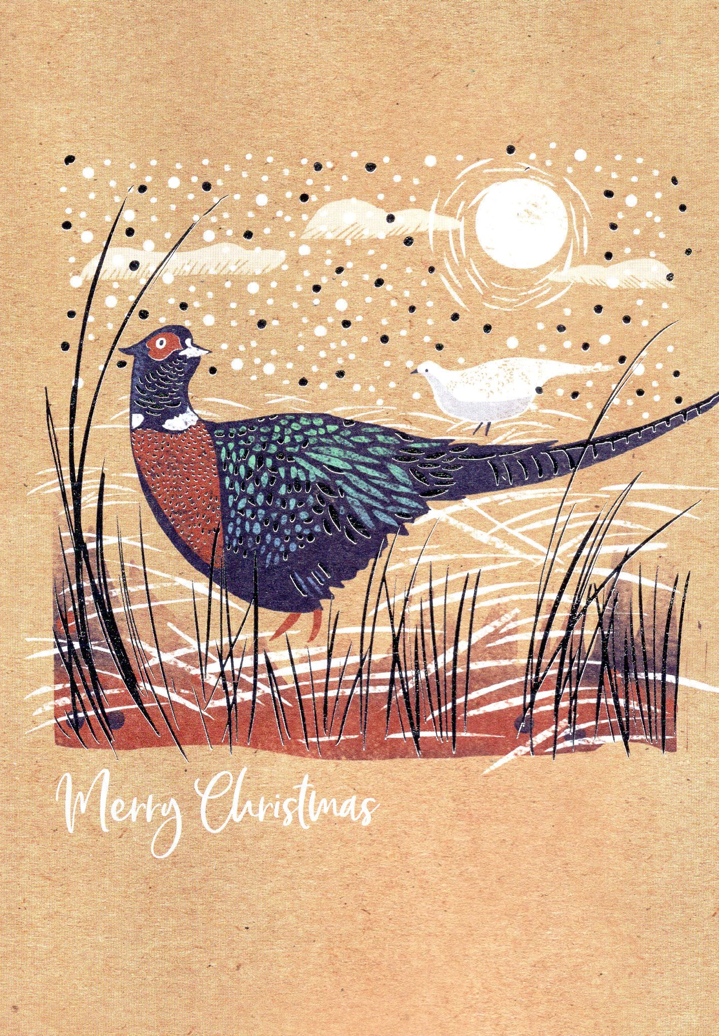 Box of 12 Birds & Winter Scene Contemporary Foiled Christmas Cards