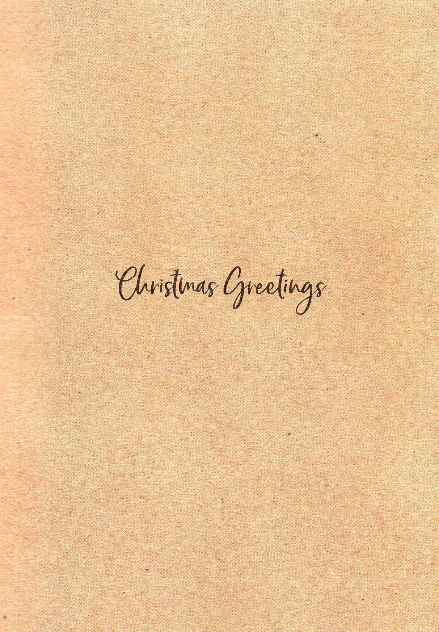 Box of 12 Birds & Winter Scene Contemporary Foiled Christmas Cards