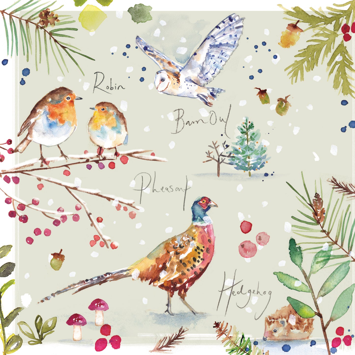 Box of 16 Jennifer Rose Wildlife Luxury Christmas Cards In 4 Designs