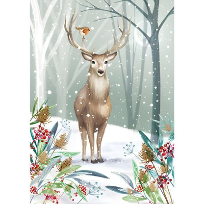 Fairdeal Box of 20 Wildlife Charity Christmas Card Supporting Multiple Charities