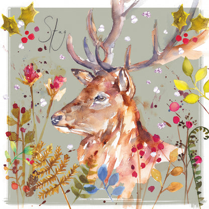 Box of 20 Robin & Stag Fairdeal Charity Christmas Cards