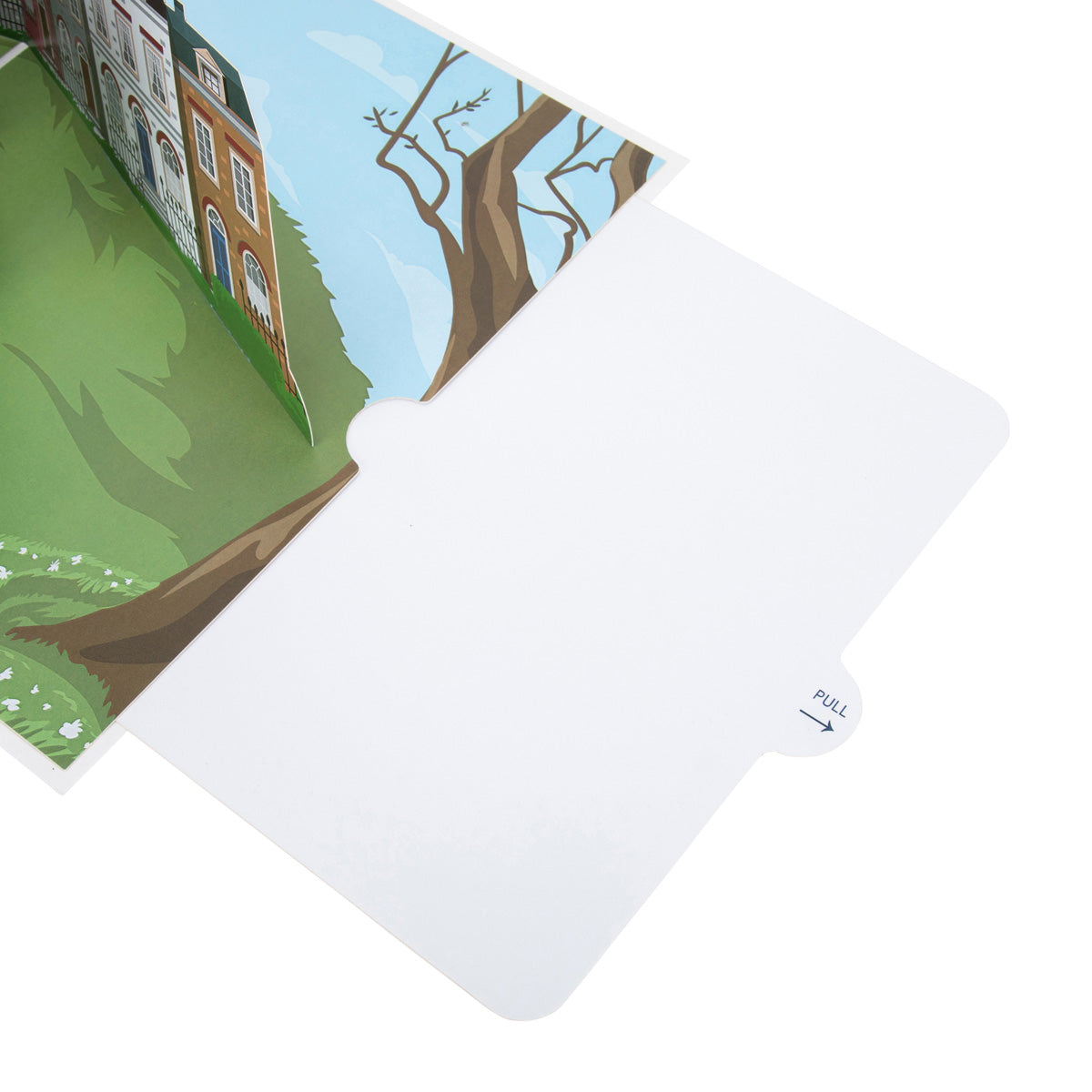 Miniature Schnauzer Dog Pop Up Greeting Card